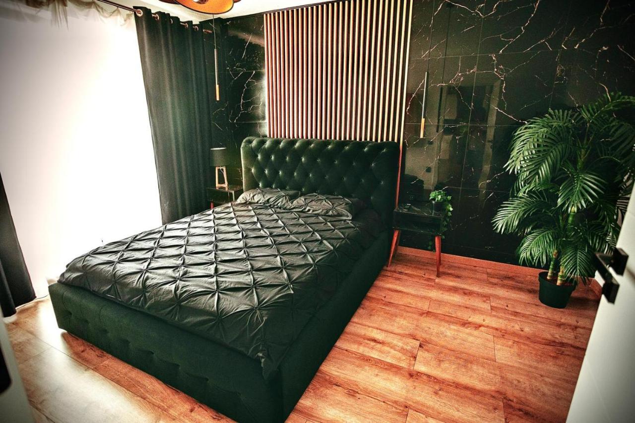 Jacuzzi Apartment Baia Mare Eksteriør bilde
