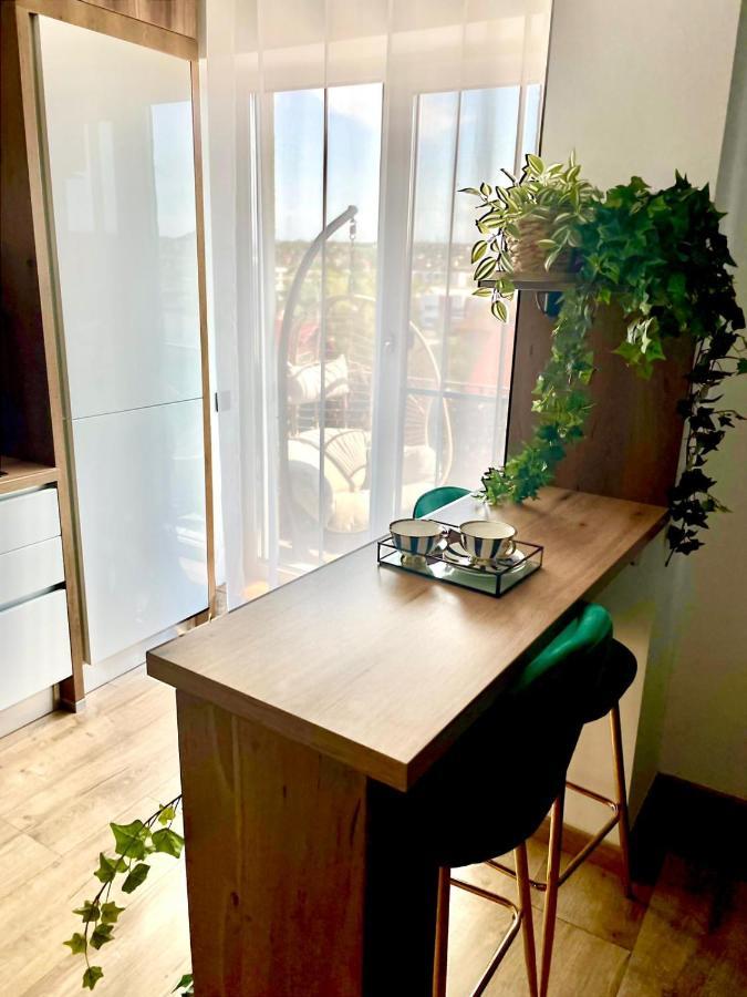 Jacuzzi Apartment Baia Mare Eksteriør bilde